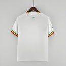 camisa-camiseta-senegal-selecao-selecao-senegalesa-puma-versao-versao-torcedor-masculina-22-23-home-casa-i-principal-1-sadio-sadio-mane-mane-branco-branca-amarelo-amarela_2